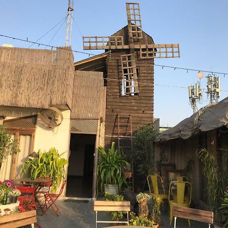 نيودلهي The Lazy Patio Homestay المظهر الخارجي الصورة