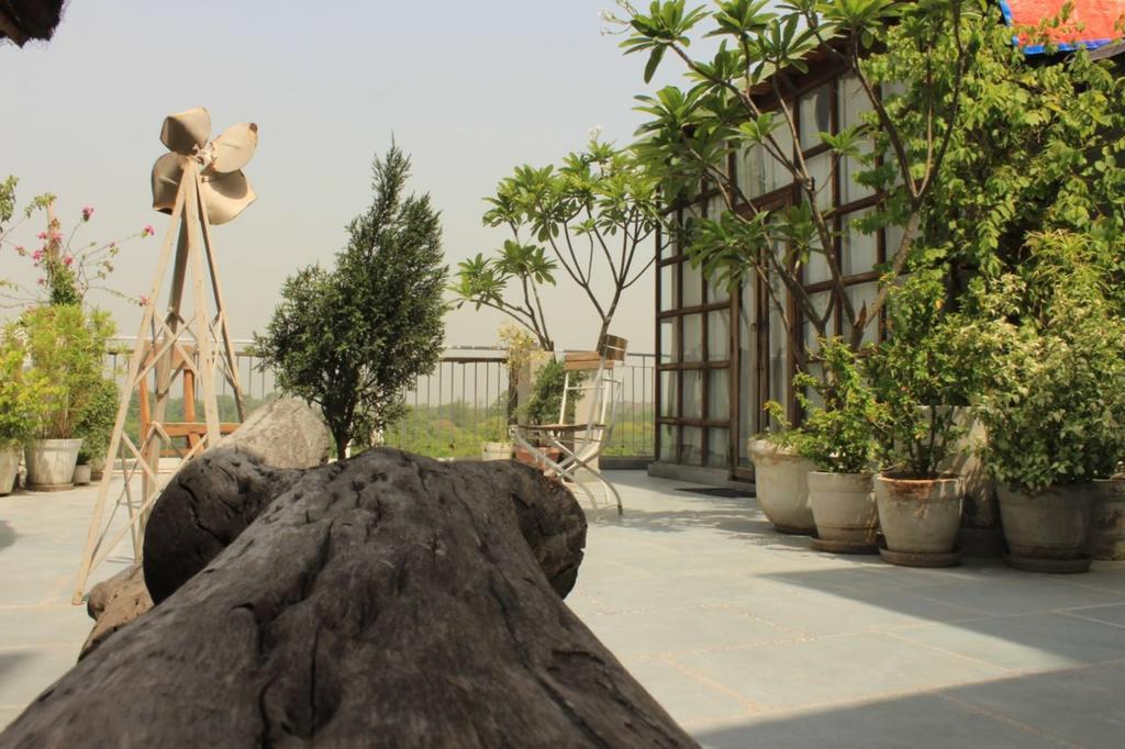 نيودلهي The Lazy Patio Homestay المظهر الخارجي الصورة