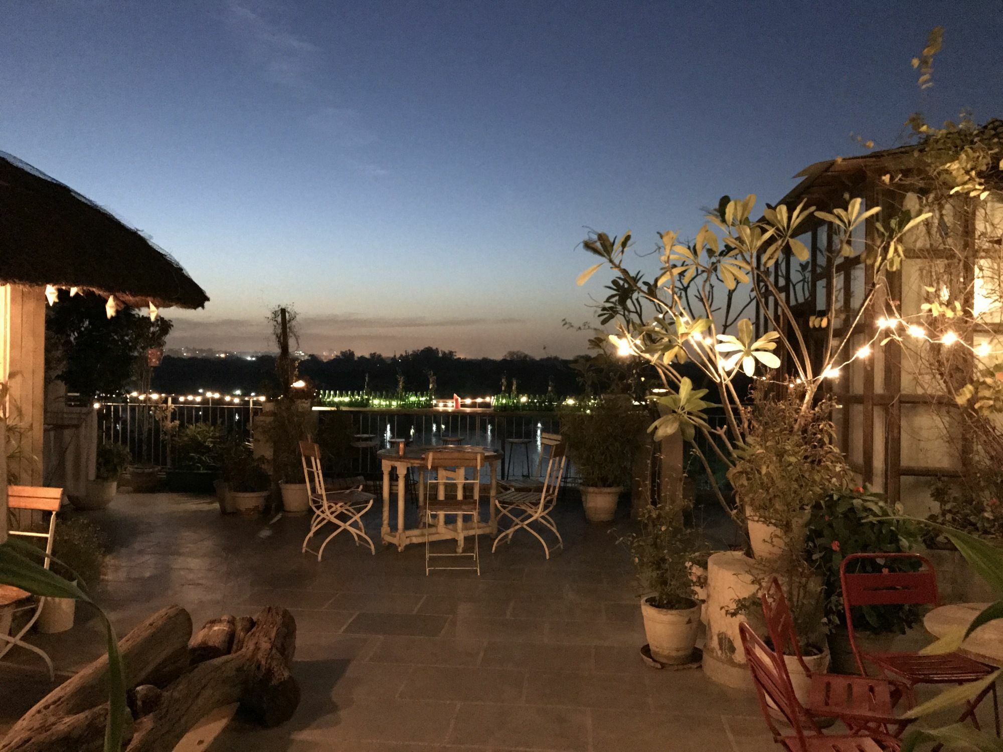 نيودلهي The Lazy Patio Homestay المظهر الخارجي الصورة